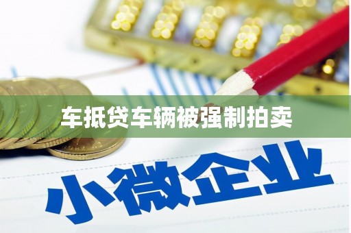 米林车抵贷车辆被强制拍卖