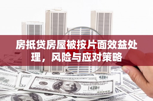 漳浦房抵贷房屋被按片面效益处理，风险与应对策略